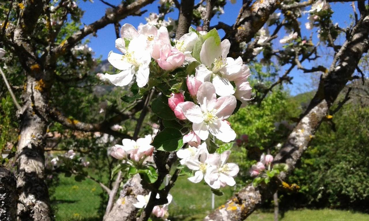 Bnb Castellane Chambre D'Hotes B&B المظهر الخارجي الصورة
